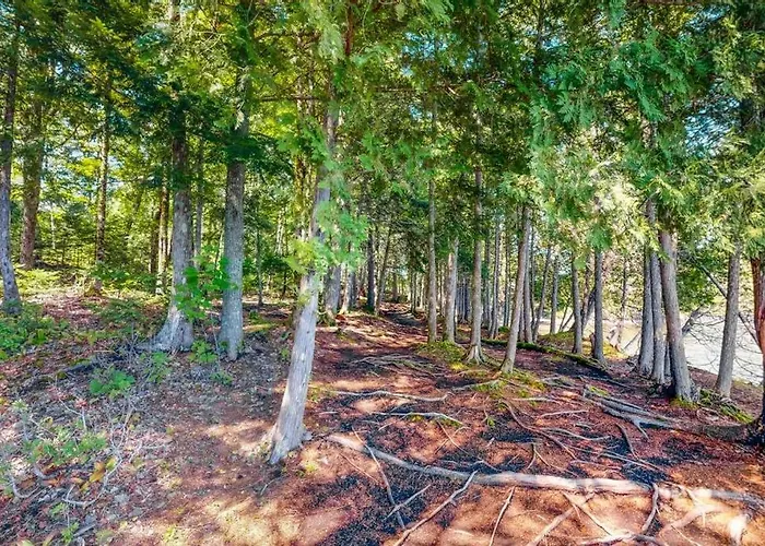 Dog-Friendly Lakefront Home With Deck, Grill, Wifi, Shared Dock & Water Access