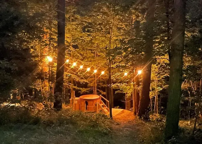 Loblolly Pines Adventure Aframe #2