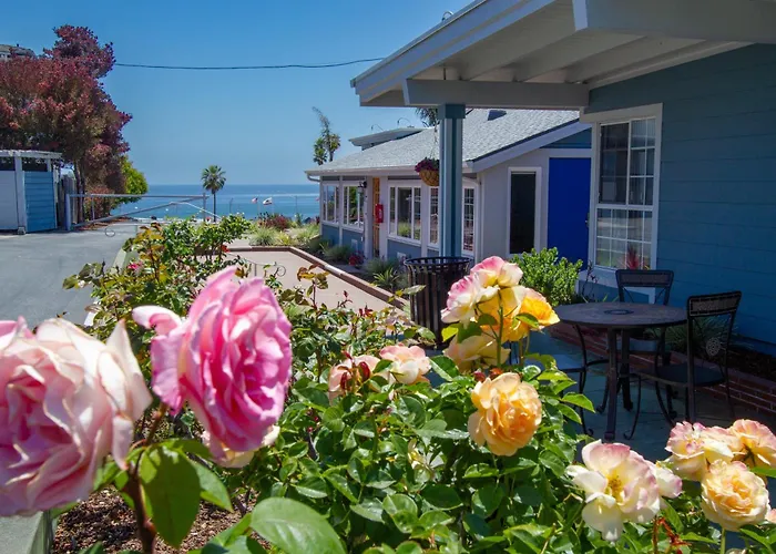 Edgewater Beach Inn