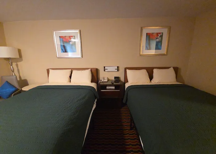 Chesaning Inn & Suites