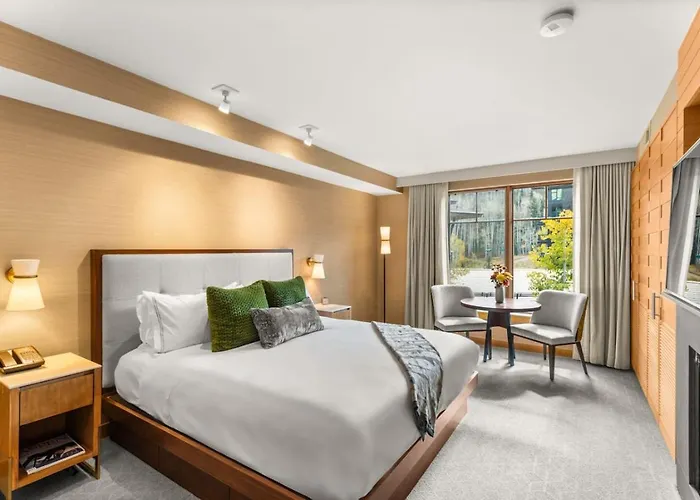 Luxury Resort Ski In Ski Out Studio