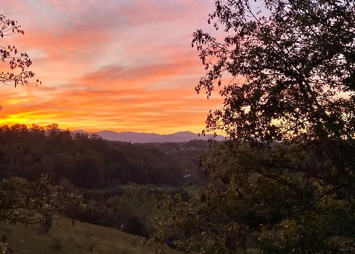 Funtastic Retreat! Pet Goats, Hot Tub, 10 Mins To Weaverville - 15 Min To Avl Ps5, View, Karaoke