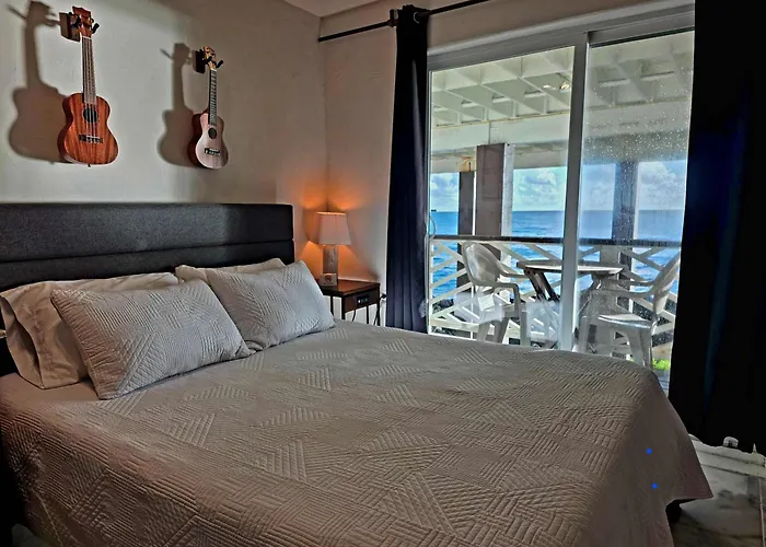 Oceanfront Studio See Whales And Dolphins