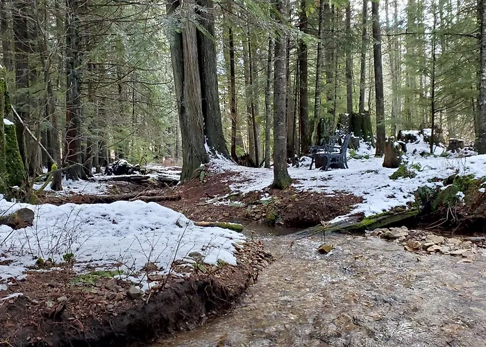 Ahrs Creek Retreat In The Timber