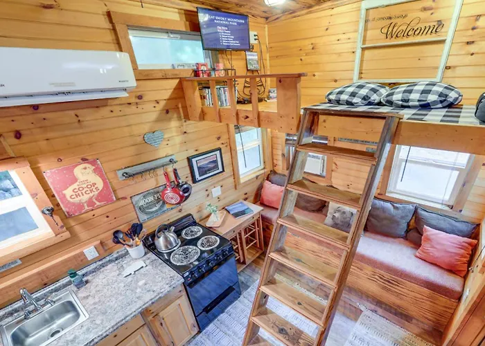 Shiners Shack
