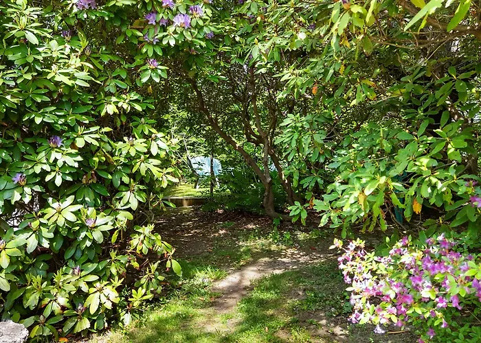 Bright, Spacious Getaway With Full Kitchen, Furnished Porch & Wifi - Near Trails