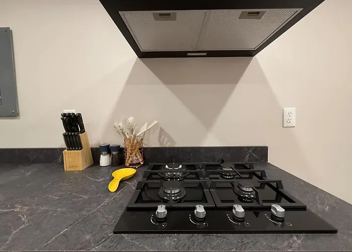 Entire Modern Cozy 2Br Apt Mins Su Lemoyne Dt