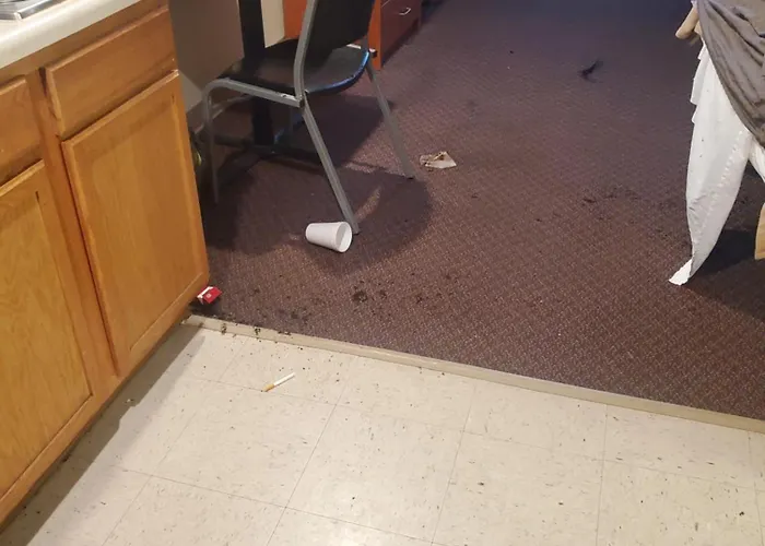 Woodspring Suites