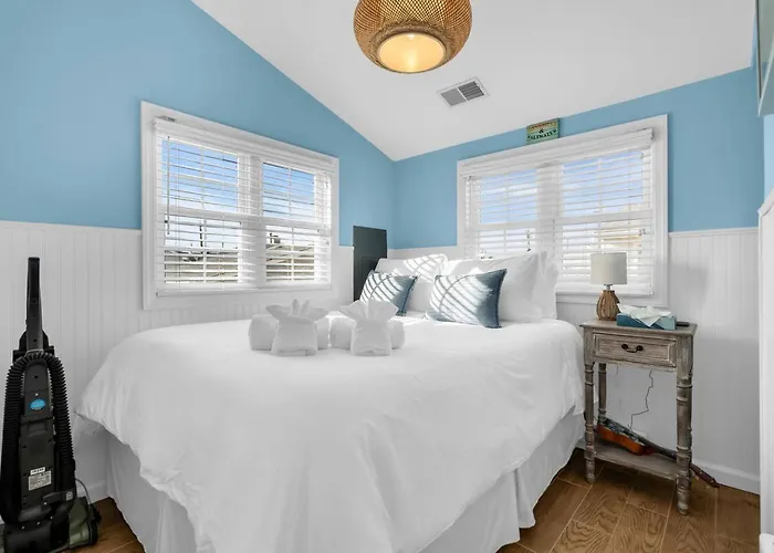 Ocean Beach 3! Fast Wifi | Coffee | Pet Friendly