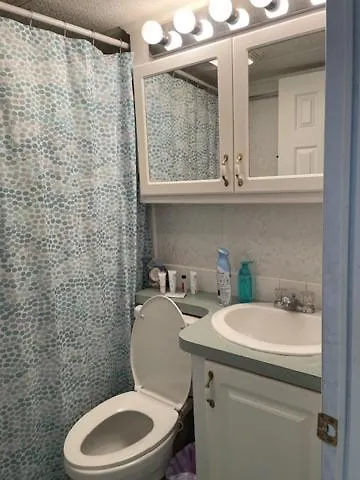 Salt Springs Cozy Cottage