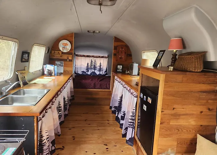 Orange Lake Airstream