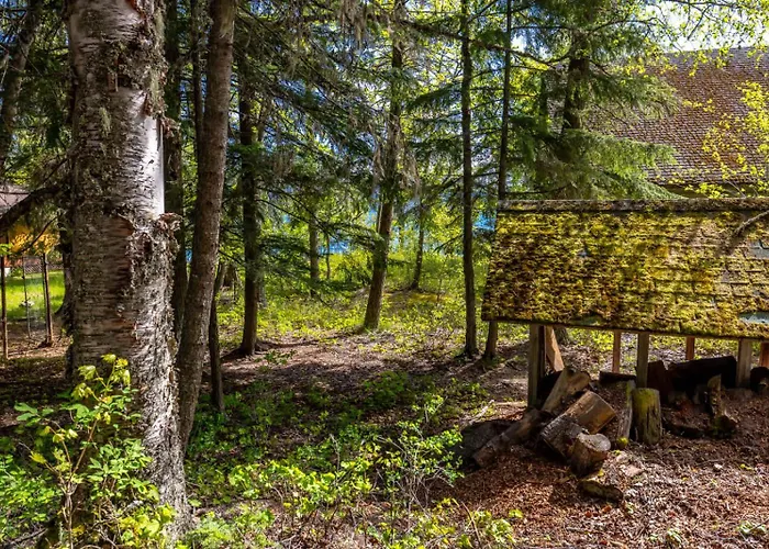Walsh Cottage On The Shores Of Lake Mcdonald