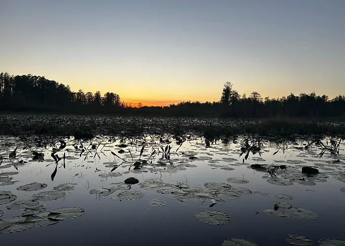 Okefenokee Pastimes Cabins And Campground