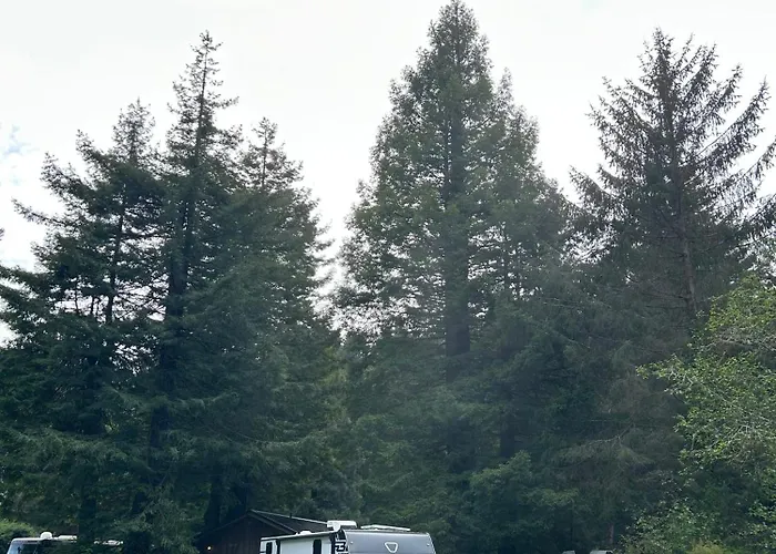 The Bunkhouse Camper