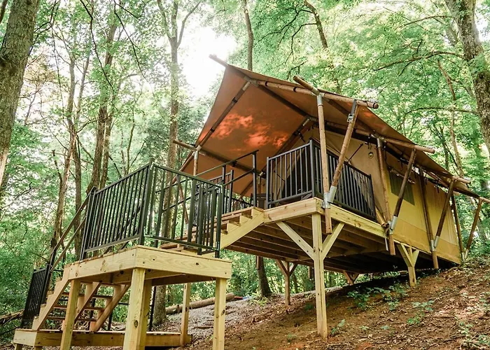 Glampknox Canvas Campground - Tree Solo