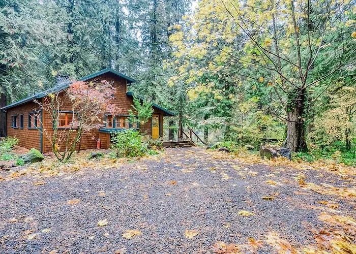 Charming Home With Free Wifi Washer&Dryer Wood Fireplace And Furnished Deck