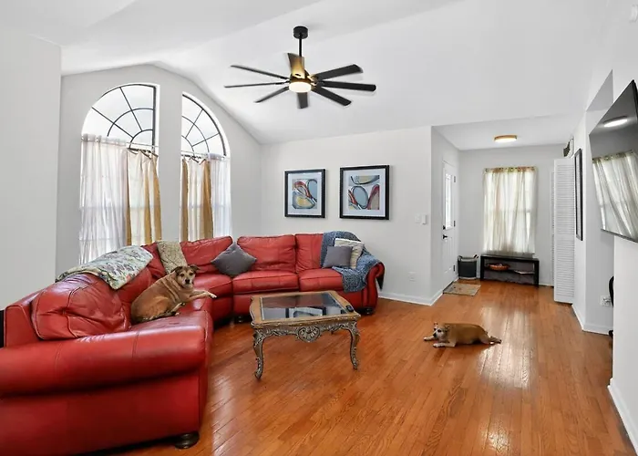 Palm Harbor Retreat•Near Beaches •Boating •Parking
