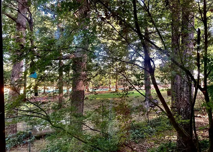 Secluded Lakefront House Nestled In The Woods For An Unforgettable Adventure In Nature In Williford, Arkansas