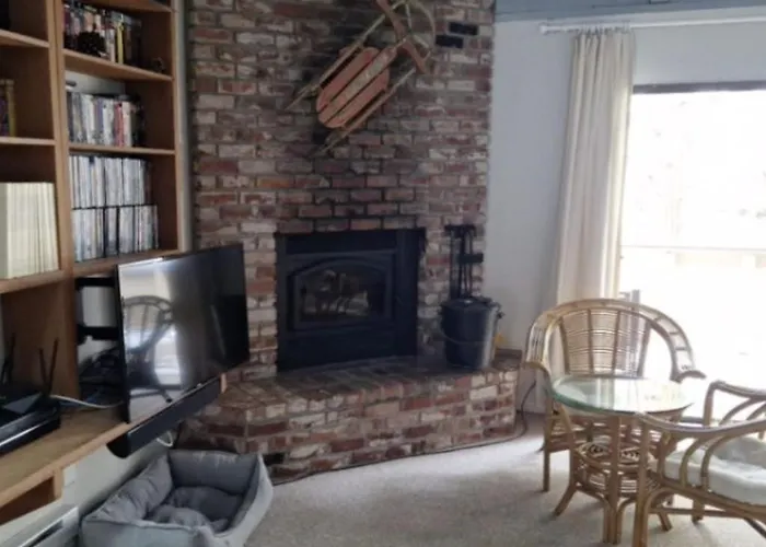 Dog-Friendly Condo With Pool Access Fireplace Private Washer&Dryer & Wet Bar