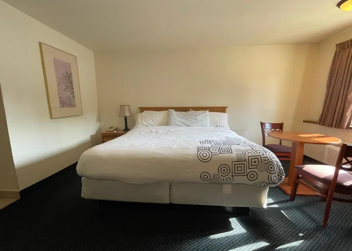 D-Lux Budget Inn Lemont
