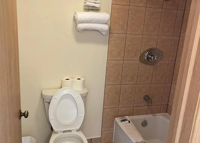 D-Lux Budget Inn Lemont