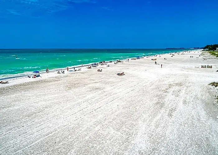 Anna Maria Island Beach Palms 6B