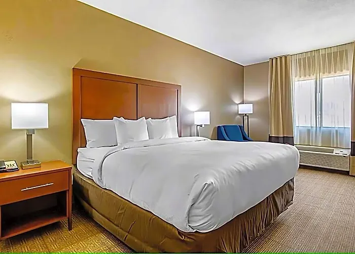 Comfort Inn & Suites Mccomb
