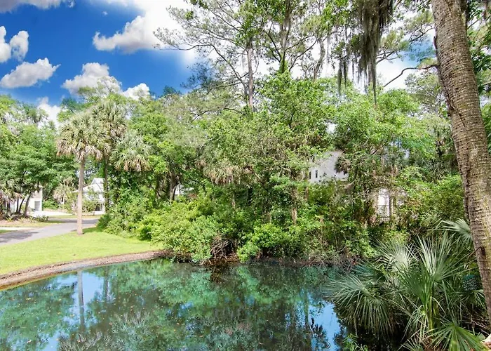 Turtle Pond