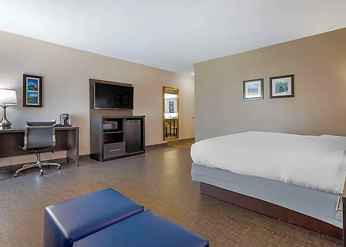 Comfort Inn & Suites Greer - Greenville