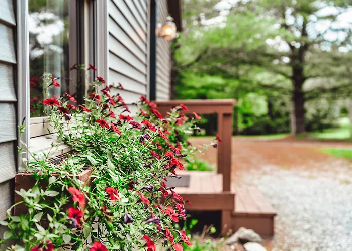 Romantic Cabin Hot Tub King Bed Private Forest