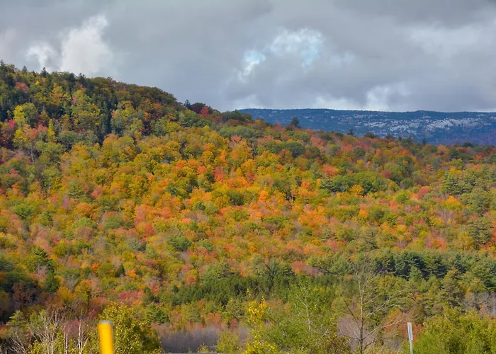 White Mountains New Hampshire Deer Bear Retreat