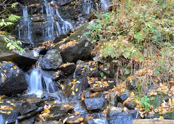 White Mountains New Hampshire Deer Bear Retreat