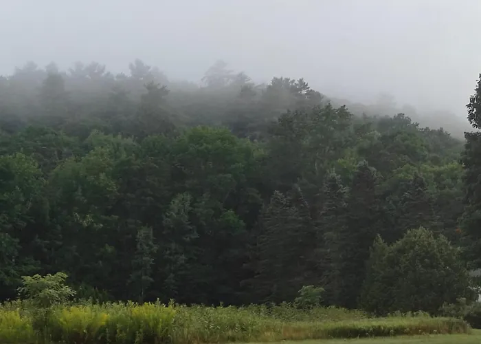 White Mountains New Hampshire Deer Bear Retreat