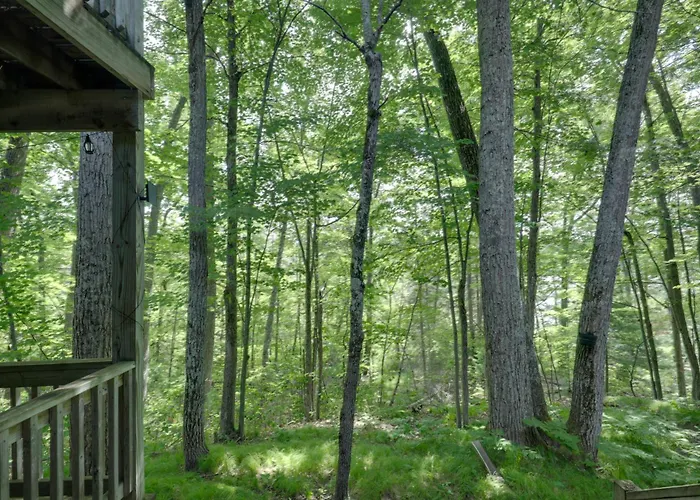 George Lake Views & Access! Family Condo By Trails