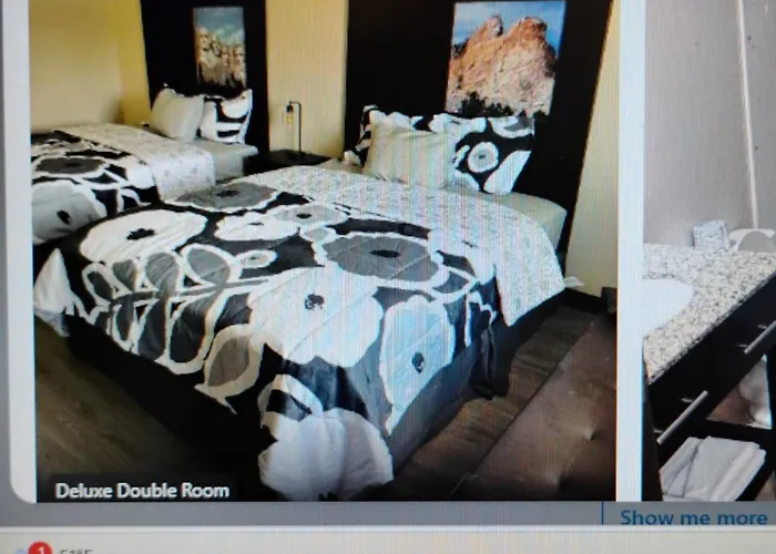 The Suite