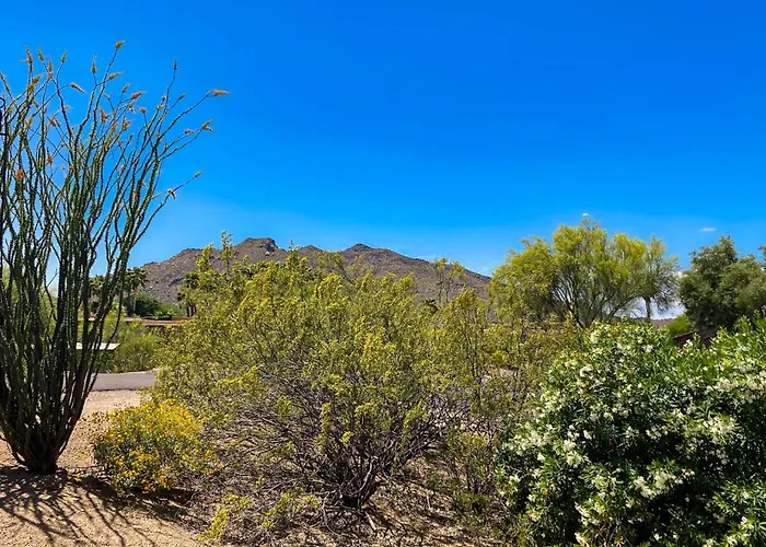 Tranquil Trail #6