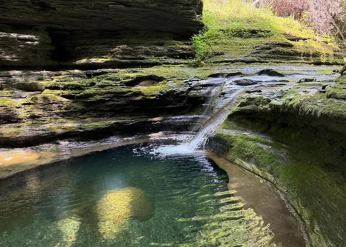 Seneca Gorge Glamping