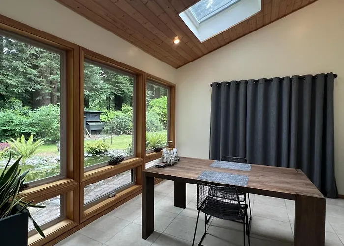 Modern Cabin In The Redwood Rainforest