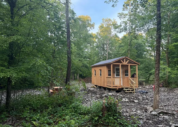 Live The Outdoors Camp