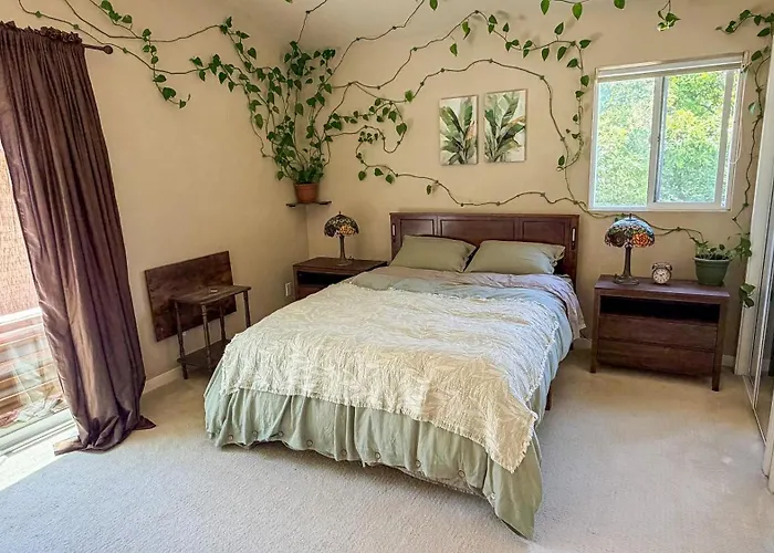 Green Cozy House