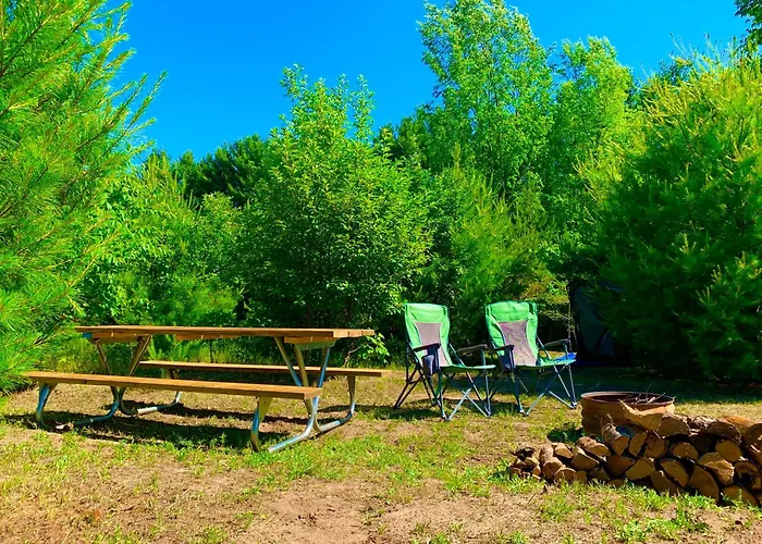 Byo Tent Or Rv To Camp Squid