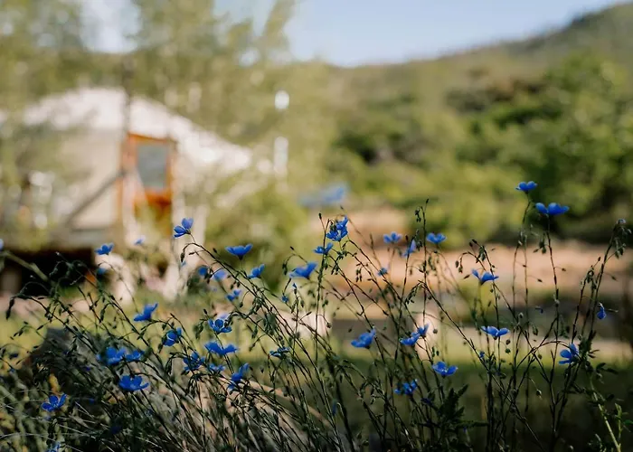 Modern Solar Powered Yurt Fully Equipped In Basalt, Colorado