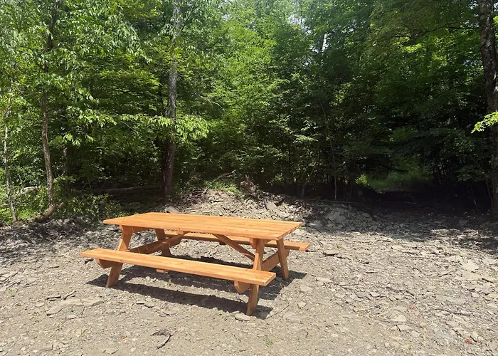 Live The Outdoors Camp