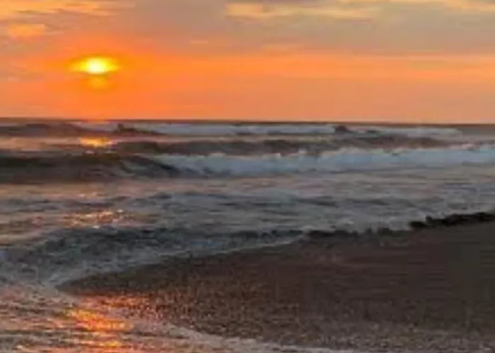 Butterfly Bliss Rv Spots For Rent