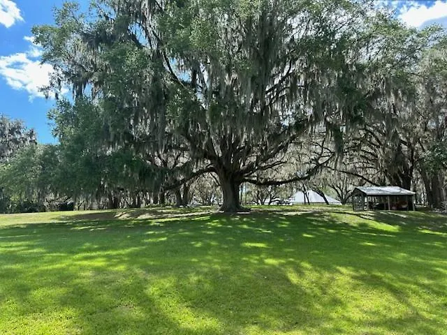 Five Oaks Cottage