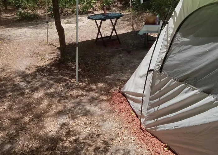 Wilderness Camp Site
