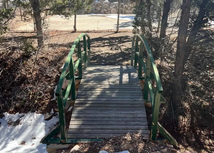 Bear Hollow