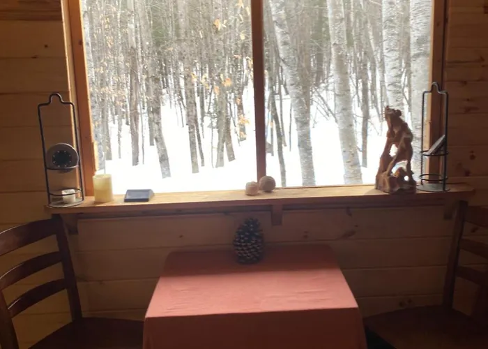 Enchanted Forest Cabin