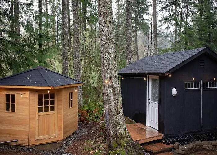 Lake Cushman Wellness Retreat