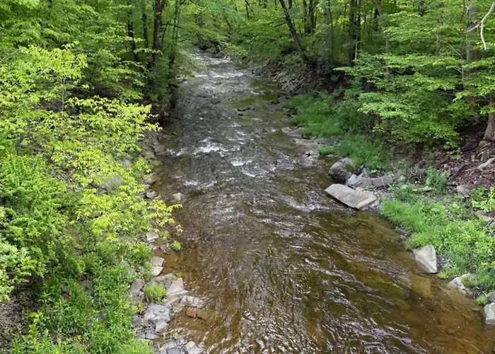 Live The Outdoors Camp